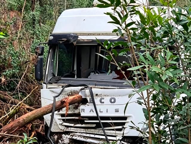Eucalipto atravessa cabine de caminhão; condutor escapa ileso