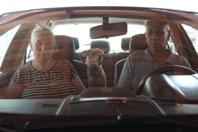 Cadelinha resgatada das ruas vira “quarta filha” de casal