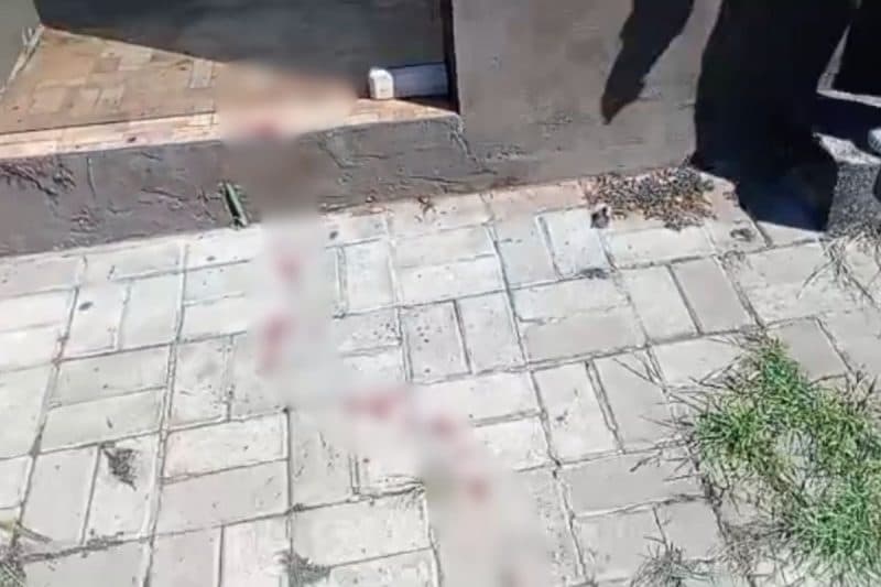 Ataque de rottweiler mata criança de 4 anos em Chapecó