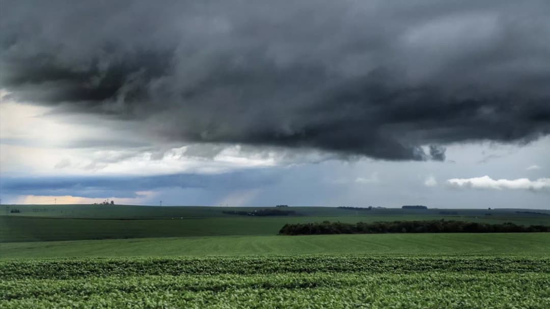 Epagri alerta para impactos do El Niño e orienta produtores sobre como reduzir perdas nas lavouras