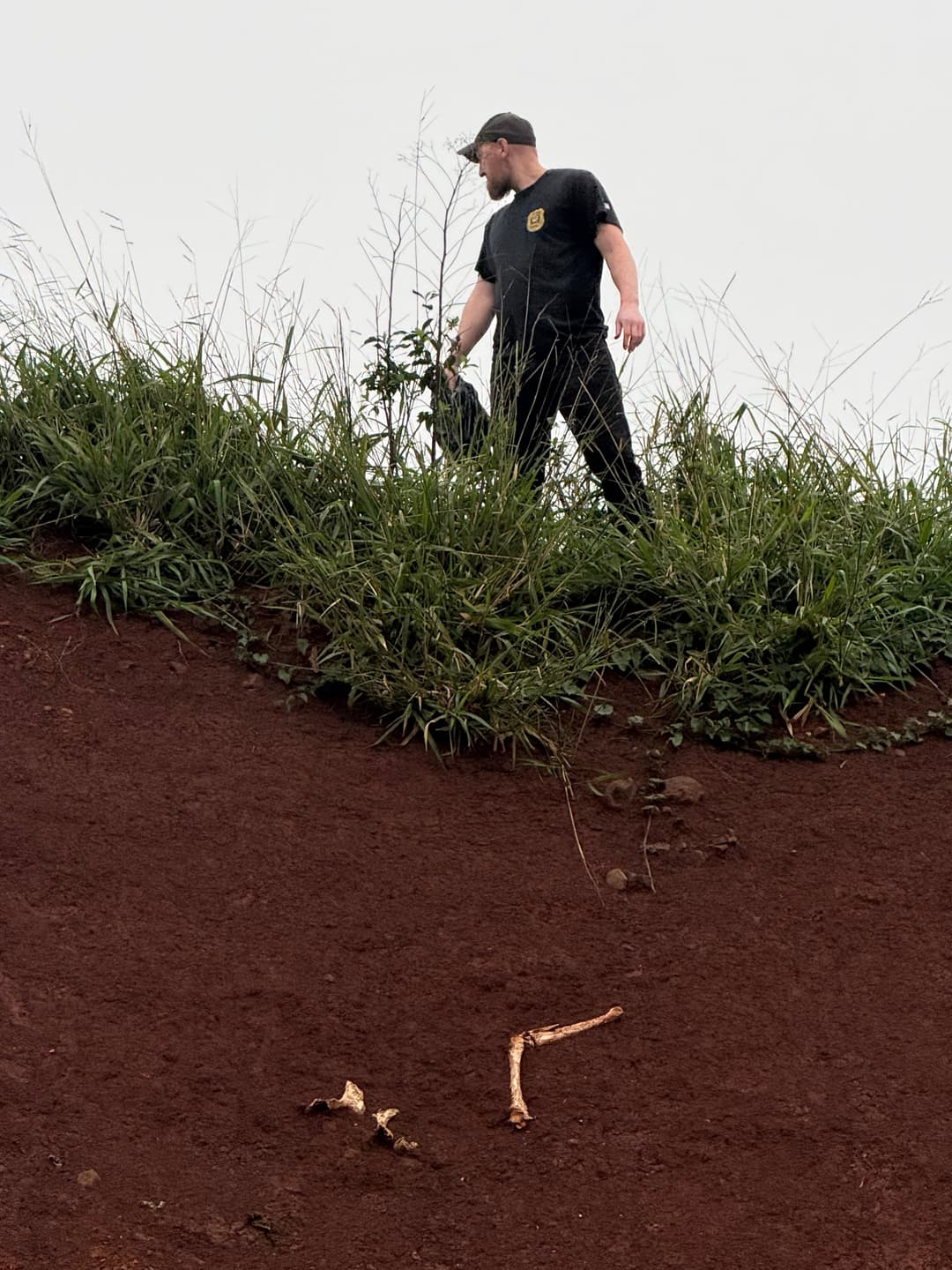 Restos ósseos encontrados em Pinhalzinho não são humanos
