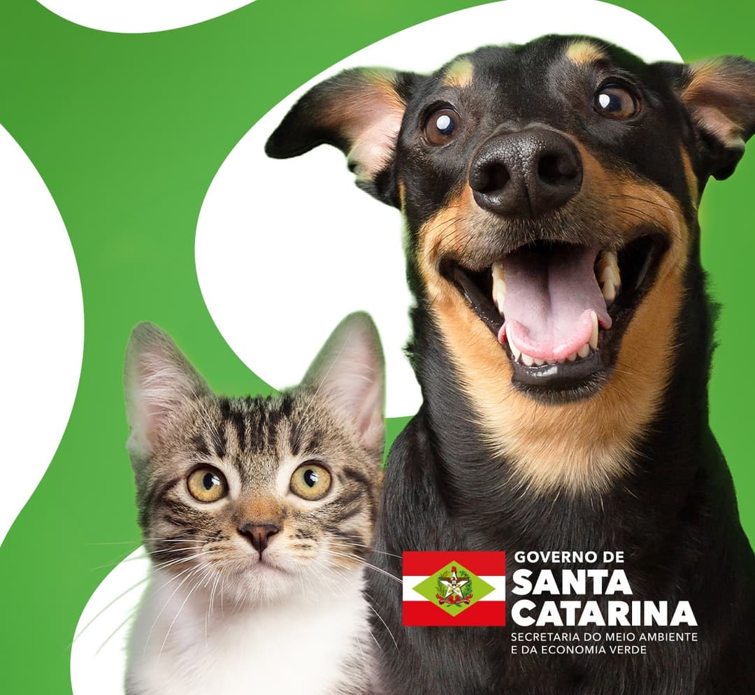 Modelo abre inscrições para programa de castração gratuita de cães e gatos