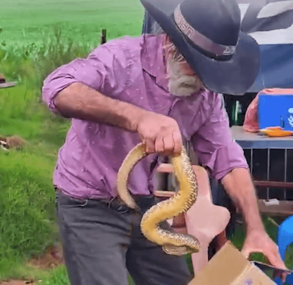 "Seo Toninho" ganha fama como encantador de cobras