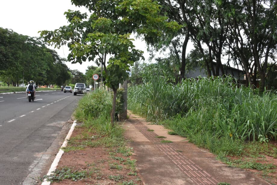 Caso reascende um alerta (Foto por Gerson Oliveira)