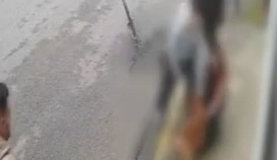 Pitbull ataca jovem em rua de Imbituba (Foto por Divulgação)