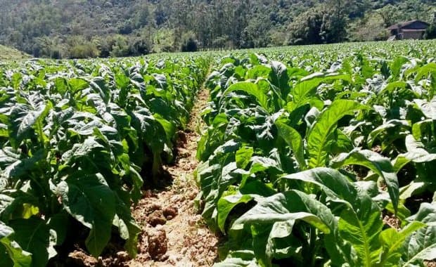 LDO 2027 prevê orçamento de R$ 64 bilhões e começa a tramitar na Alesc