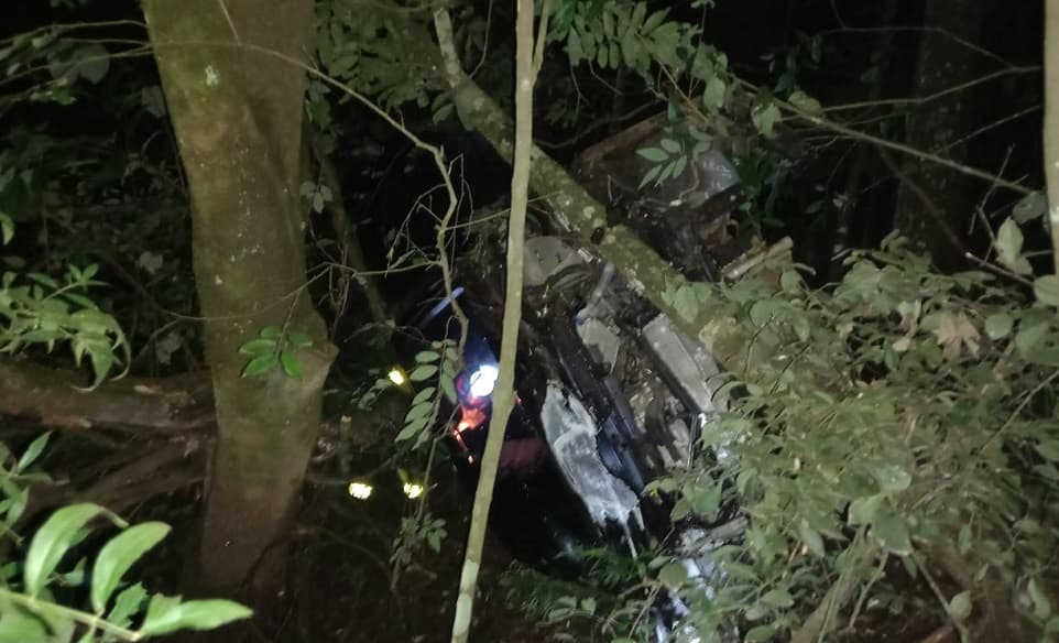 Socorristas encontraram carro em meio a vegetação (Foto: Corpo de Bombeiros)