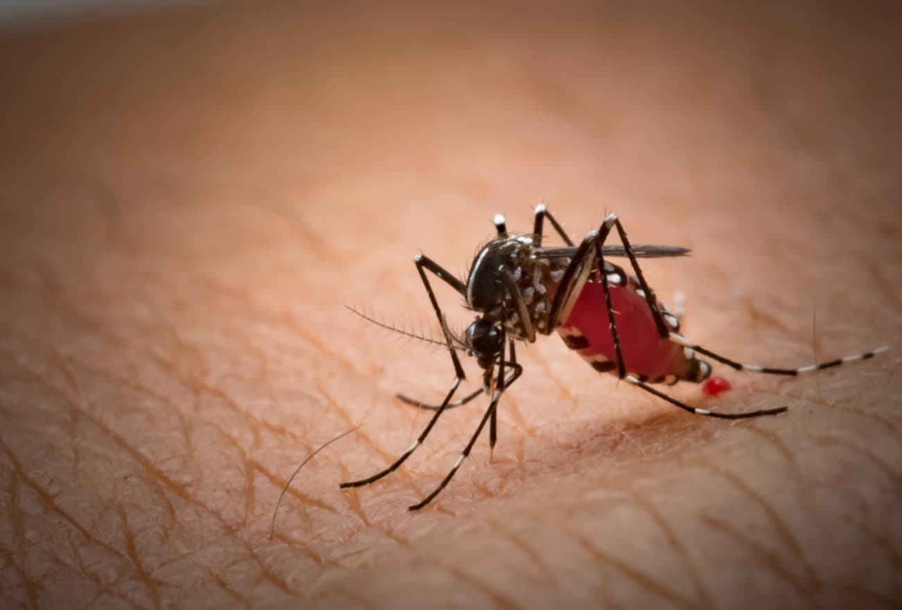 Morador do Distrito de Juvêncio confirma primeiro caso de dengue em 2024 (Foto: Ascom)