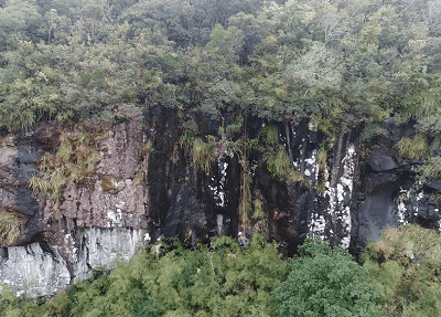 Um drone ajudou os socorristas a localizar o local onde os cães caíram (Foto: Corpo de Bombeiros)