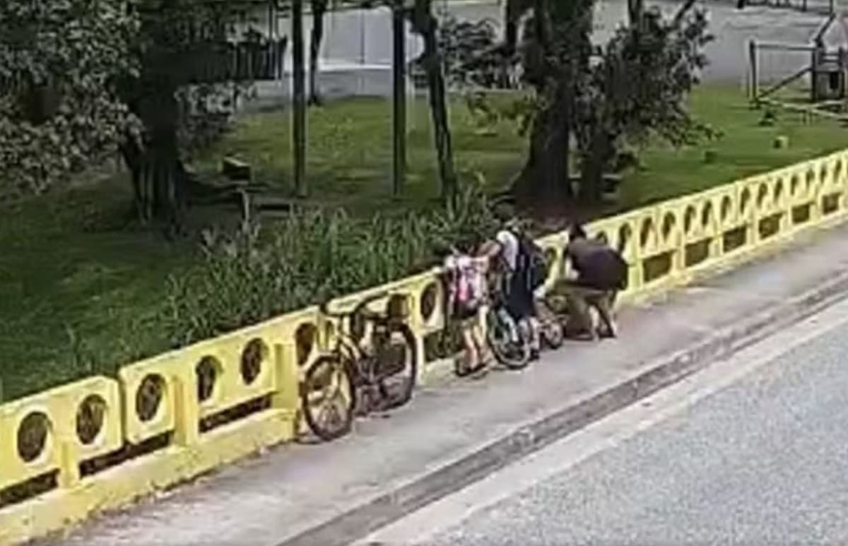 Mulher joga próprio cachorro de ponte na frente dos filhos em Joinville (Foto: Divulgação)