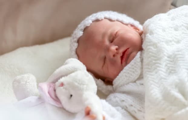 Casal quer disputar guarda de boneca realista na Justiça