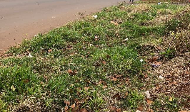 Locais sem construção acumulam entulhos que preocupam (Foto: Henrique Paulo Koch)