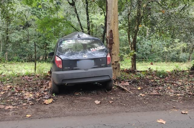 Carro saiu da pista (Foto: Corpo de Bombeiros )