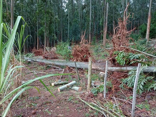 Força do mau tempo (Foto: Divulgação )