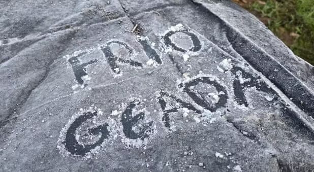 Geada no Vale do Caminhos da Neve, em São Joaquim, na Serra (Foto: Mycchel Legnaghi)