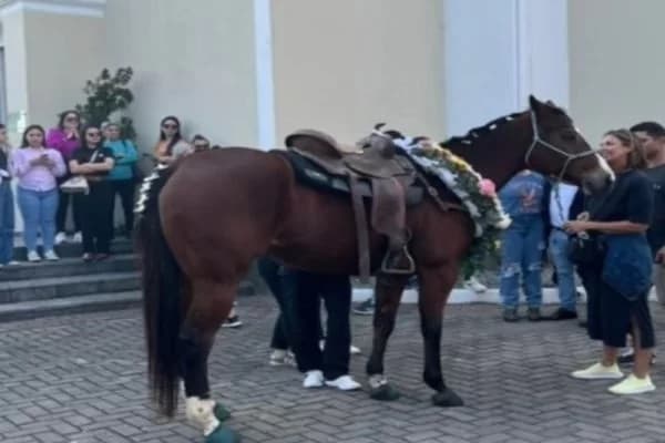 Equino foi levado próximo a caixão (Foto: Redes Sociais)