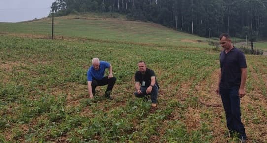 União do Oeste decreta situação de emergência devido chuva de pedras (Foto: Divulgação )