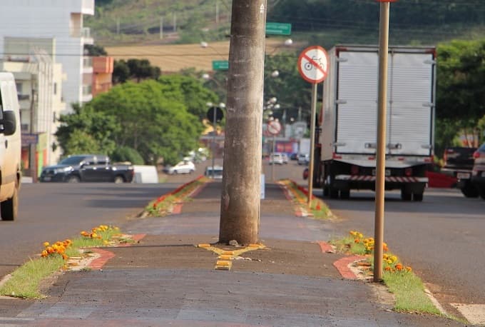 Ciclovia construída em 2016 parou na Justiça (Foto: Divulgação)