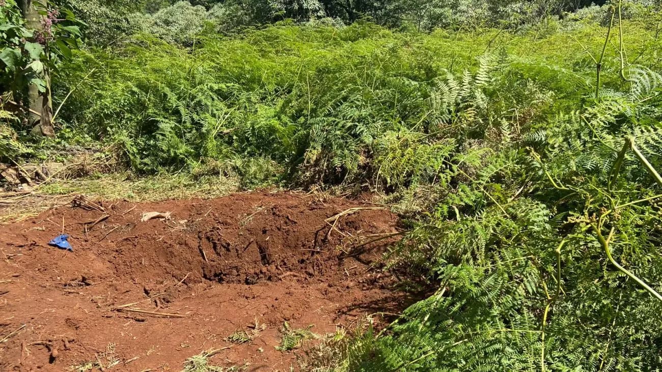 Vegetação e terra mexida chamou a atenção dos policiais (Foto: Valéria Cenci/ND Mais)