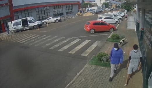 Cachorro seguiu suspeitos em todo o município (Foto: Polícia Civil / Divulgação)