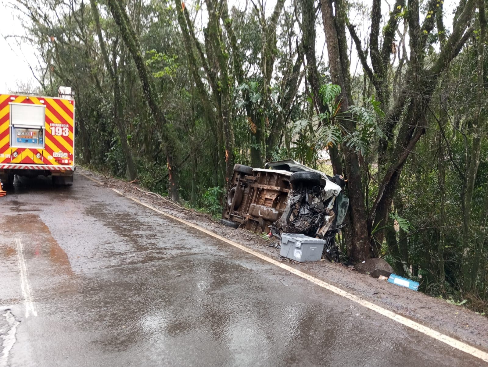 Carro ficou apoiado nas árvores (Foto: Bombeiros )