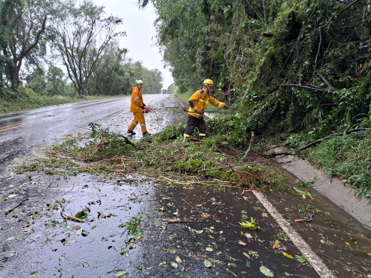 Trânsito precisou ser parado por alguns momentos até a limpeza da pista (Foto: Bombeiros )
