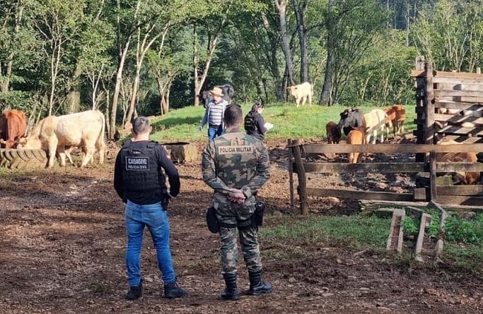 Denúncias levaram policiais e veterinários no interior de Xavantina (Foto: Polícia Civil)