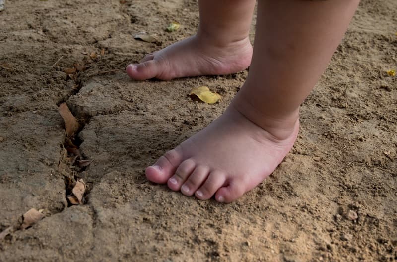 Criança em passeio por Chapecó (Foto: Divulgação)