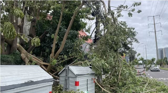 Temporal deixa rastros de destruição na Capital Gaúcha (Foto: Caue Fonseca/Folhapress)