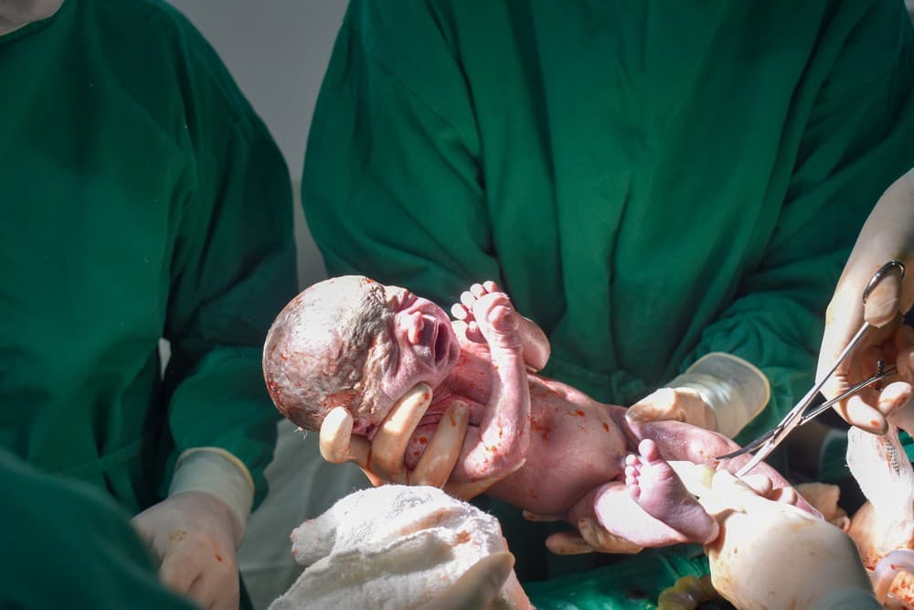 Bebês nasceram em Blumenau (Foto: Hospital Santo Antônio )