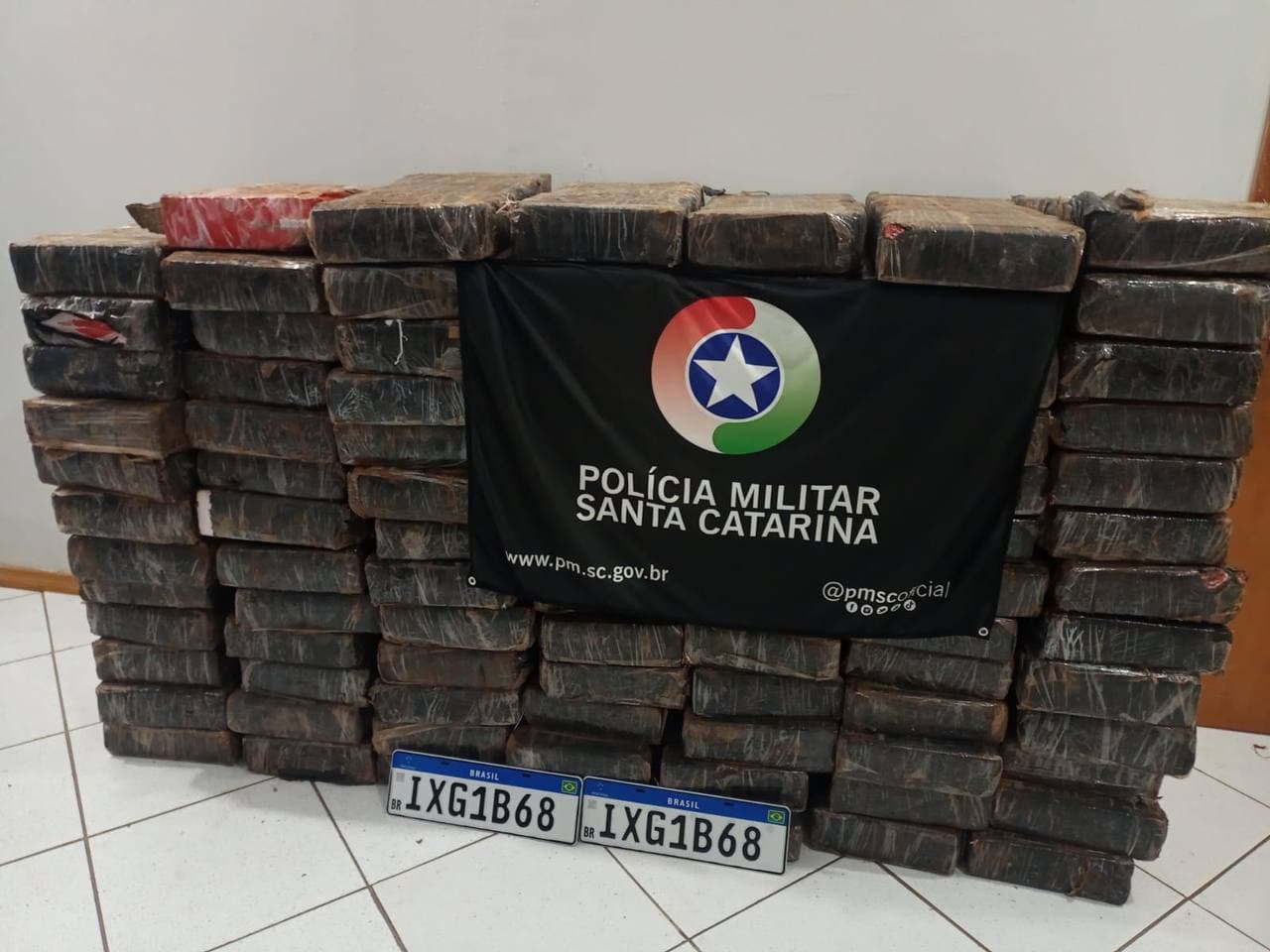 Droga apreendida em Jardinópolis (Foto: Gilmar Bortese )