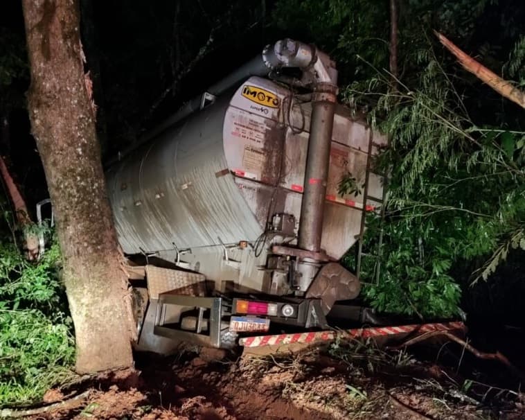 Caminhão parou após atingir vegetação (Foto: Corpo de Bombeiros)