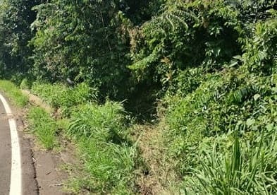 Local onde ocorreu o acidente (Foto: Polícia Militar Rodoviária)