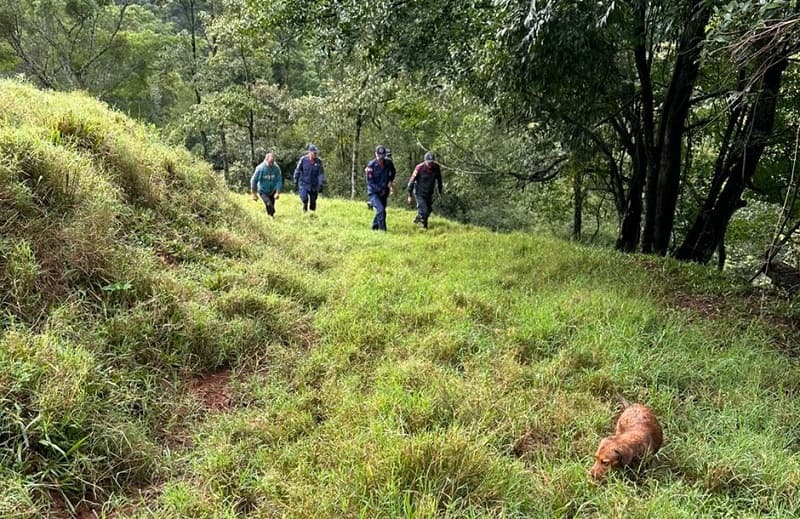 Buscas foram feitas no interior do município (Foto: Corpo de Bombeiros)