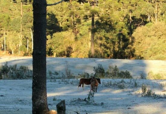 Temperaturas vão cair em Santa Catarina e Rio Grande do Sul (Foto: Marivalda Voigt/Arquivo)