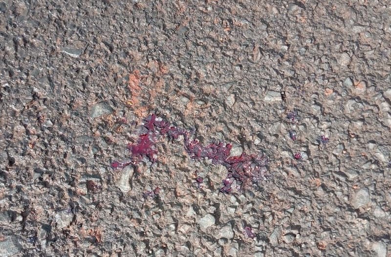 Crime ocorreu em Palmitos (Foto: Ilustração)