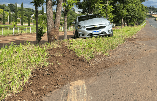 Automóvel parou após acertar árvore (Foto: Henrique Paulo Koch)