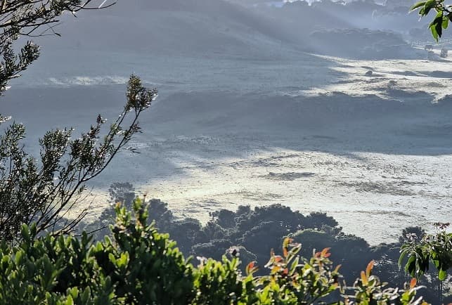 De acordo com a Epagri Ciram, a temperatura mínima no local foi de 1,97°C (Foto: Mycchel Legnaghi )