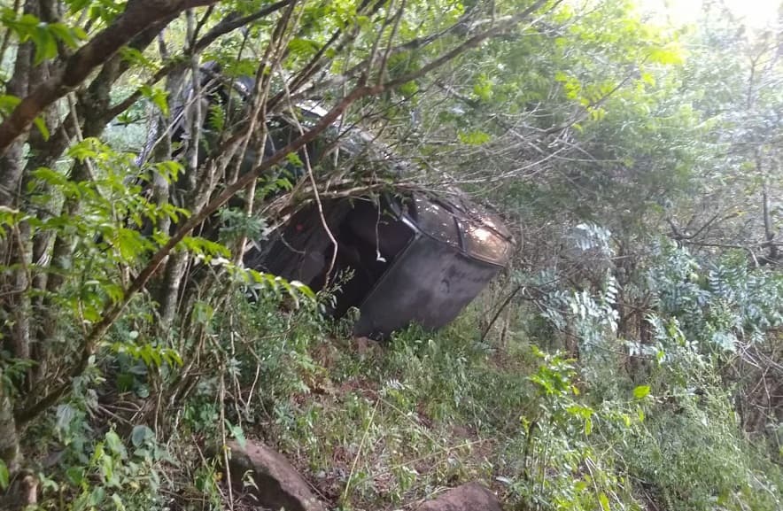 Veículo ficou escorado em árvores (Foto: Corpo de Bombeiros)