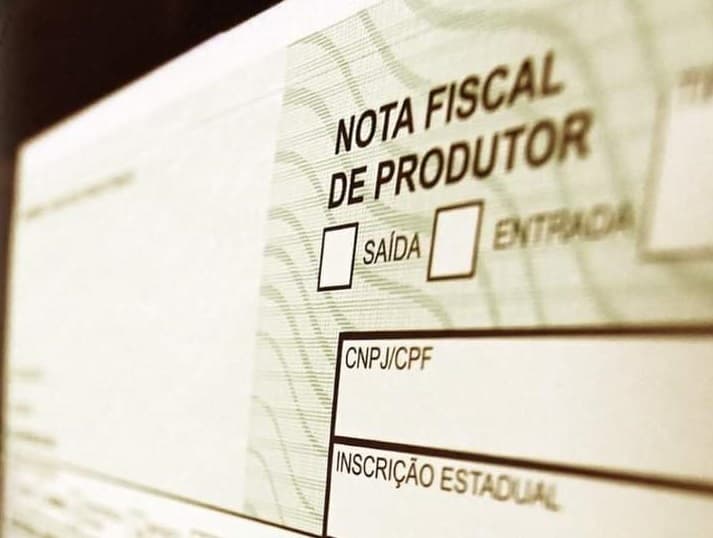 Prazo para prestação de contas das notas de produtor rural deve ser feito em até 60 dias após o preenchimento da nota (Foto: Divulgação )