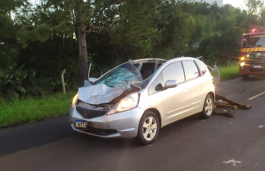 Veículo teve teto amassado (Foto: Corpo de Bombeiros)