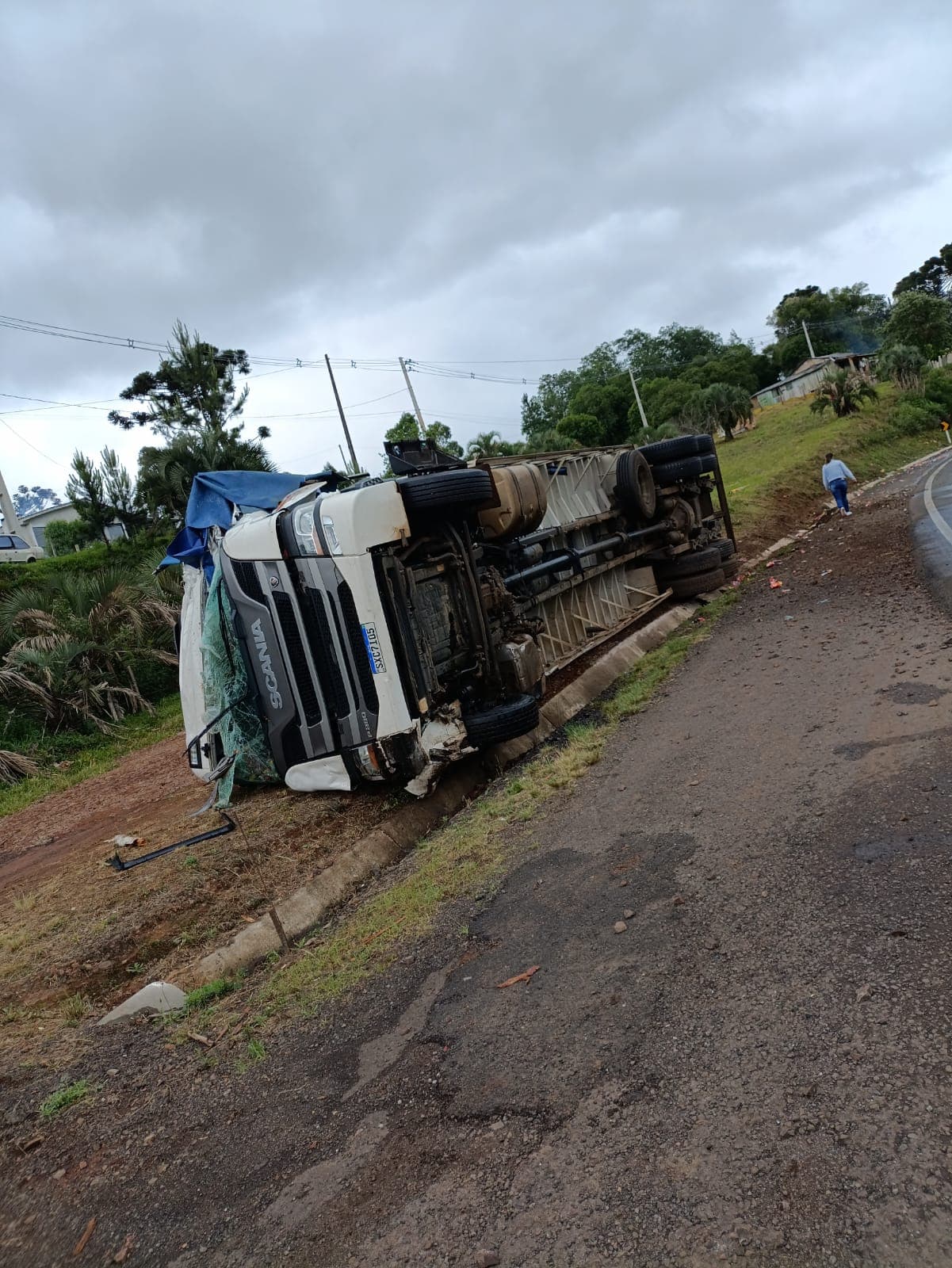 Carreta que transportava bovinos tombou ao lado da pista (Foto: Divulgação CBM)