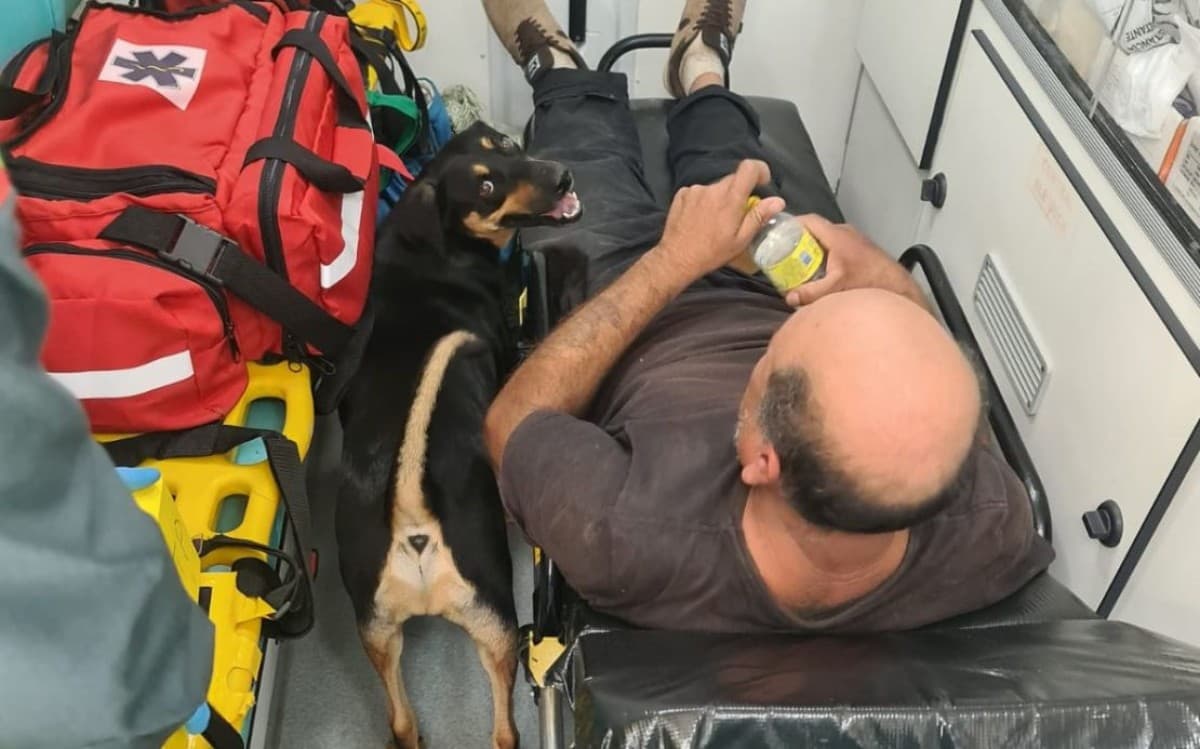 Cão acompanhou seu proprietário (Foto: Corpo de Bombeiros)