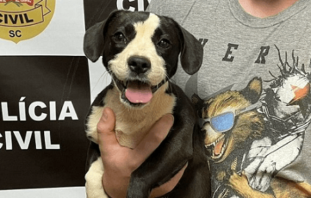 Cão foi devolvido aos donos (Foto: Polícia Civil)