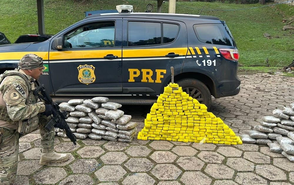 Mercadoria confiscada pelos PRFs (Foto: Divulgação)