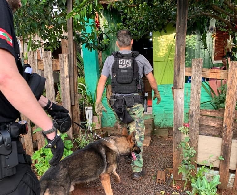 Cães de faro foram usados na ação (Foto: Polícia Civil)