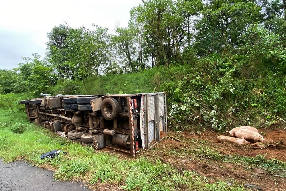 Motorista não se feriu no acidente (Foto: Felipe Eduardo Zamboni)