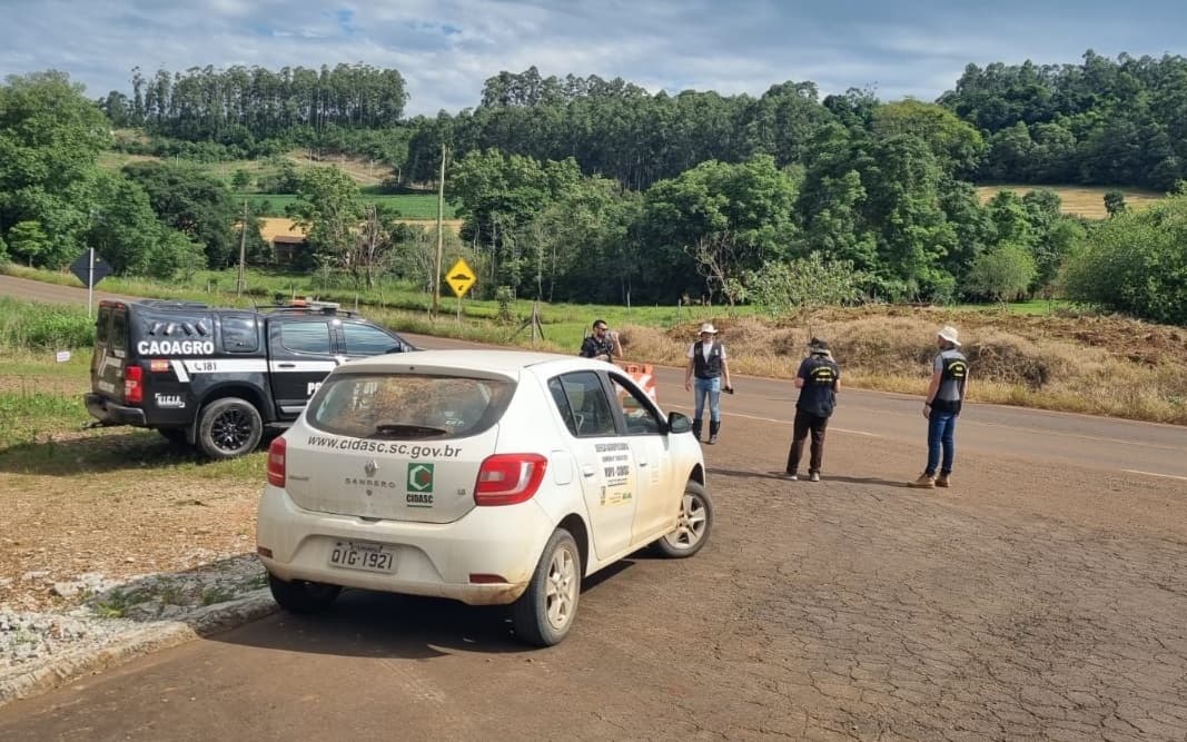 Trabalho teve a participação de policiais e veterinários (Foto: Divulgação)