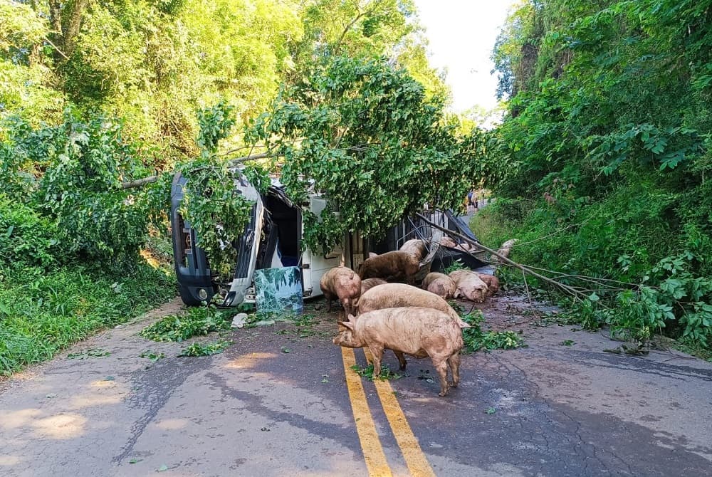 Veículo ficou totalmente danificado (Foto: Polícia Militar Rodoviária)
