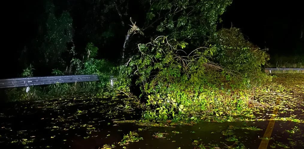Temporal atingiu o Extremo-Oeste de Santa Catarina (Foto: Rede Peperi)